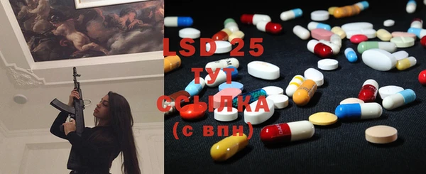 PSILOCYBIN Алзамай
