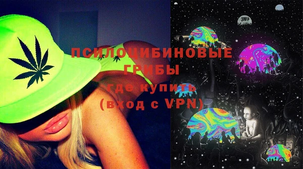 PSILOCYBIN Алзамай