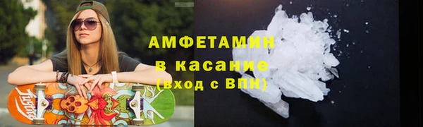 PSILOCYBIN Алзамай