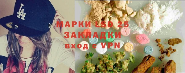 PSILOCYBIN Алзамай